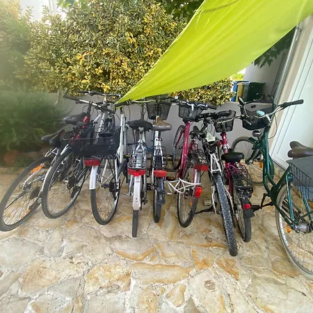 Apartment Durdica Skrlin-batina Kovacic